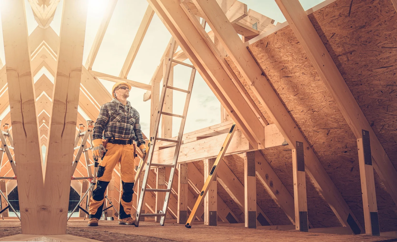 Professional Roof Maintenance